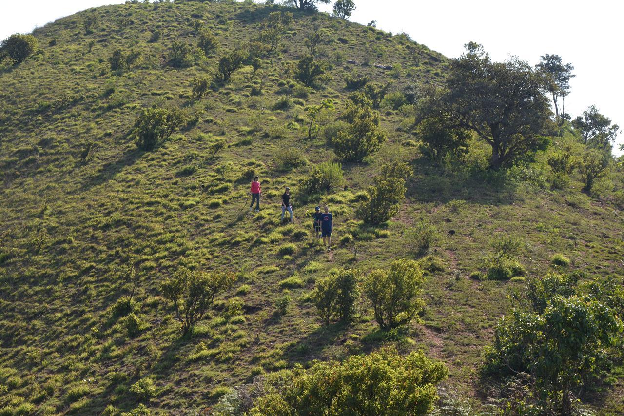 The Kaduhithlu Otel Sakleshpur Dış mekan fotoğraf